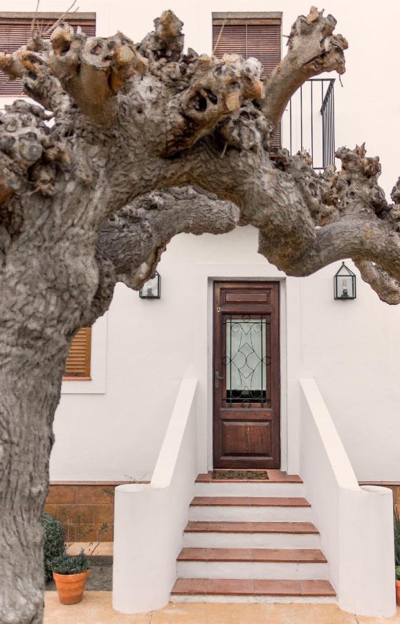 Rebesnets De Bofranch Villa Deltebre Buitenkant foto